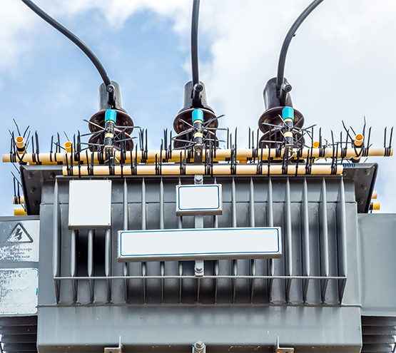 NEWTLA SNS Global Projects and Consulting